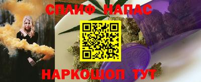 тгк Будённовск